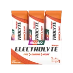 Elektrolit İçecek Mango Aromalı